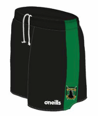 Wolfe Tones Playing Shorts