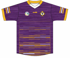 Naomh Padraig Camogie Jersey