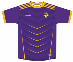 Naomh Padraig Gaelic Jersey