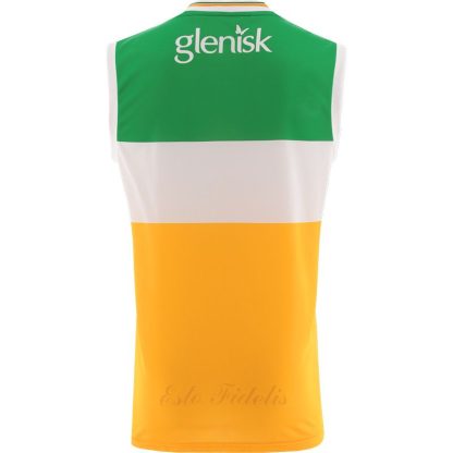 Offaly GAA Home Vest 2024 - Image 2