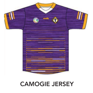 Naomh Padraig Camogie Jersey (PO)