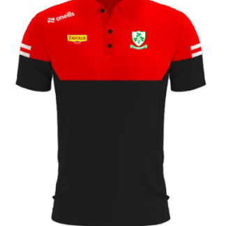Loughguile Polo (PO)