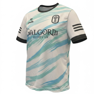 All Saints Ballymena Training Top
